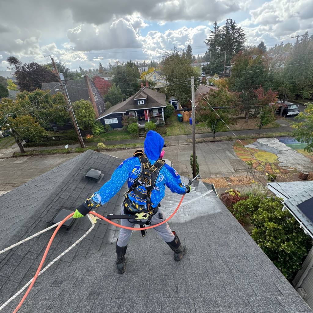 Poseidon Power Wash expert hosing down a roof