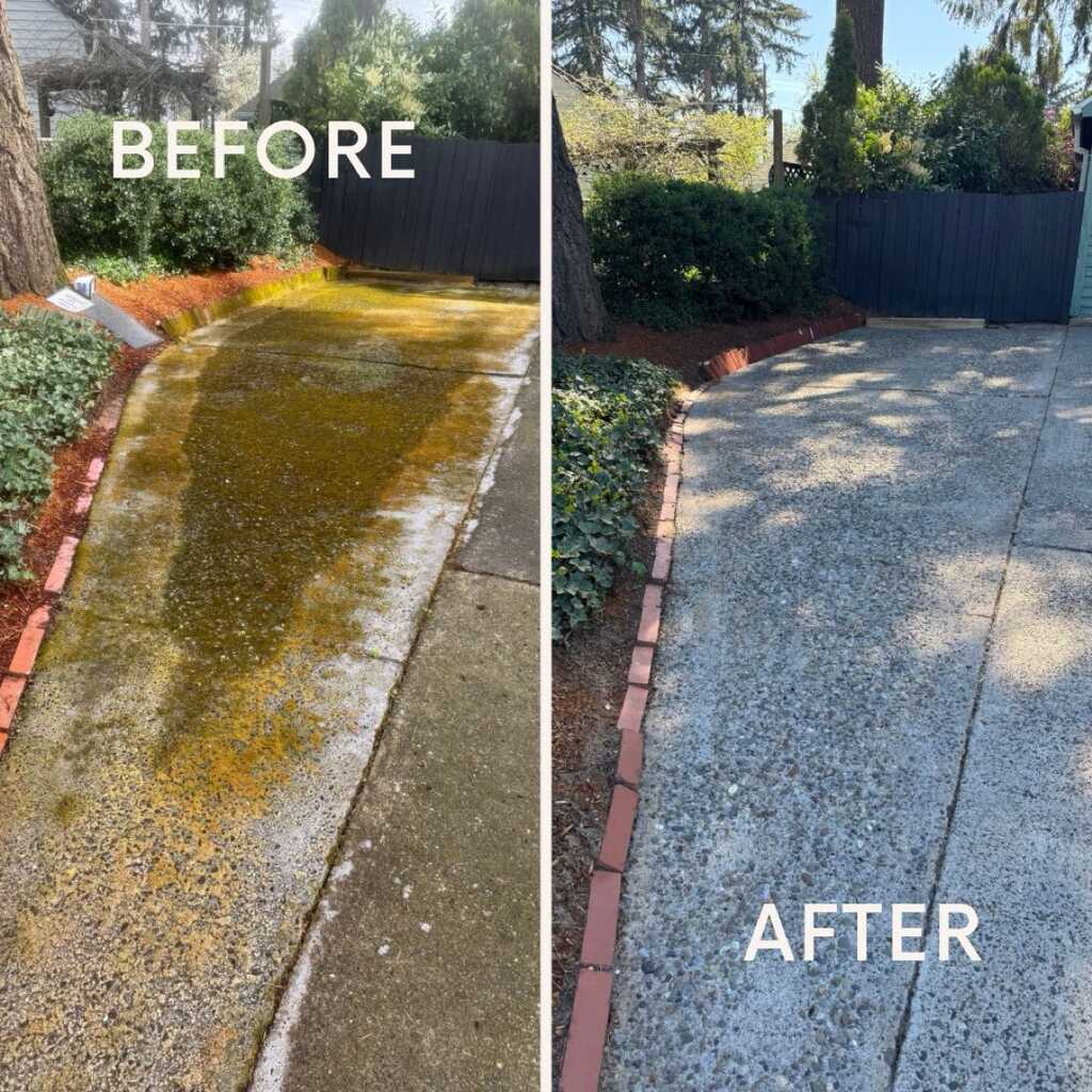 fleshly cleaned gutters