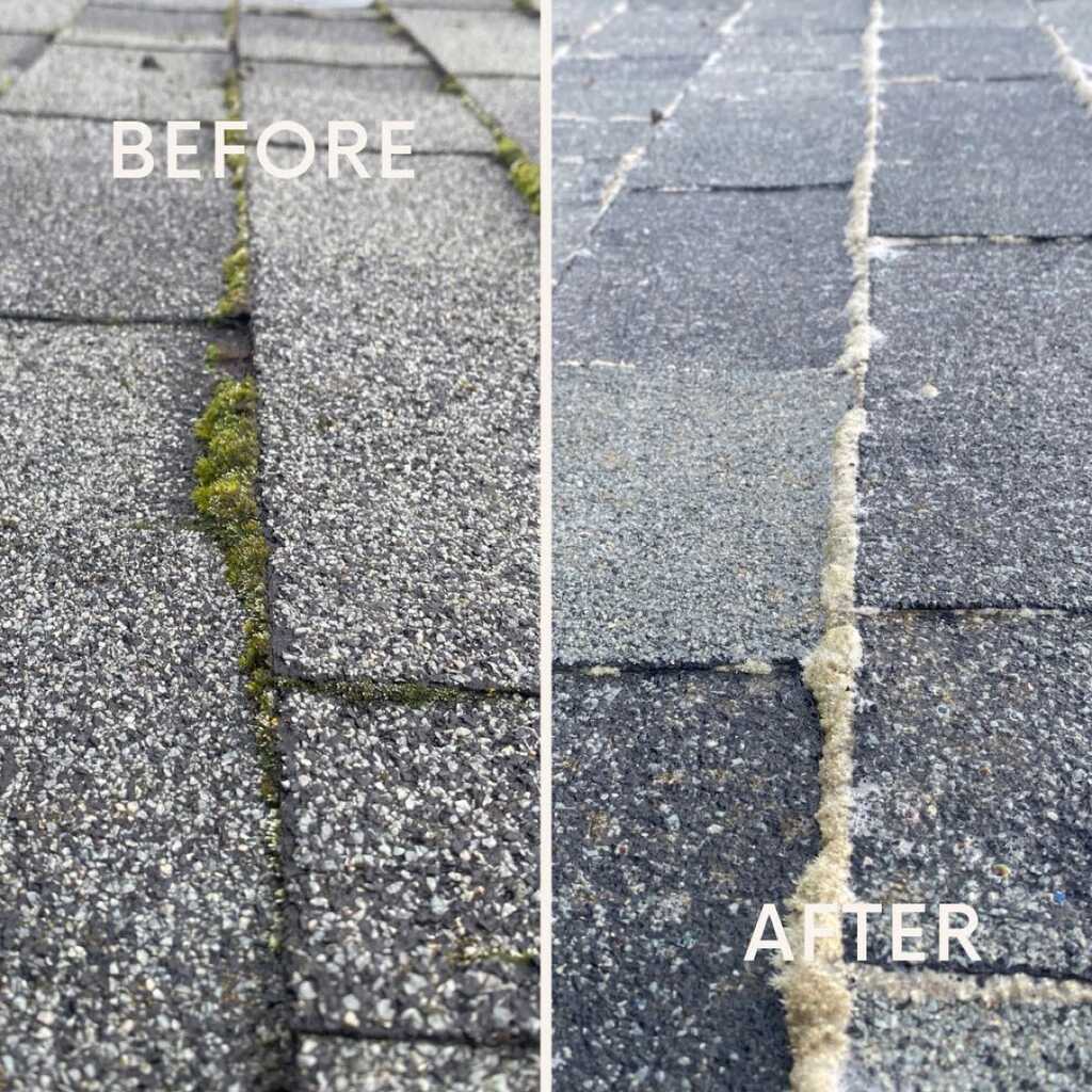Roof shingle moss removal close-up before and after Portland OR — soft wash treatment neutralizes moss without pressure washing